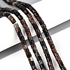 Natural Biotite Beads Strands G-T141-88B-1
