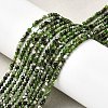 Natural Diopside Beads Strands G-G188-B14-04-1