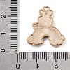 Alloy with Enamel Pendants AL-CBA9E11-05D-KCG-3