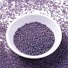 MIYUKI Delica Beads SEED-MY11-DB0869-2