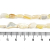 Natural Shell Pearl Beads Strands BSHE-H109-05-5