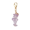 Chip Natural & Synthetic Gemstone Pendant Decoraiton HJEW-JM00986-3