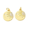 Brass Micro Pave Cubic Zirconia Pendants KK-I381-03G-1