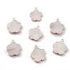 Natural Freshwater Shell Pendants BSHE-E028-06KCG-1