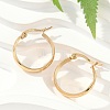 201 Stainless Steel Hoop Earrings EJEW-Q026-17G-A-1