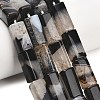 Natural Agate Beads Strands GG-L001-H01-02E-1