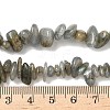 Natural Labradorite Beads Strands G-I225-15A-6