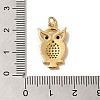 Rack Plating Brass Micro Pave Cubic Zirconia Pendants KK-K377-41G-3