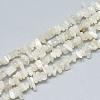 Natural White Moonstone Beads Strands G-S315-34-1