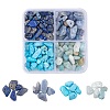 60G 4 Style Natural & Synthetic Gemstone Chip Beads G-FS0001-40-1