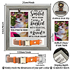 MDF Pet Photo Frames DIY-WH0525-020-2