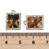 Natural Tiger Eye Faceted Rectangle Pendants G-I375-05G-10-3