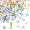 Frosted Acrylic Charms PALLOY-AR00037-1