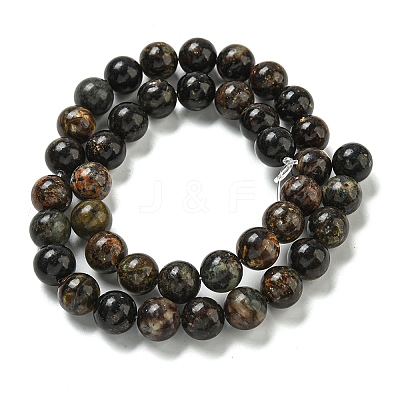 Natural Phlogopite Beads Strands G-P546-A01-04-1