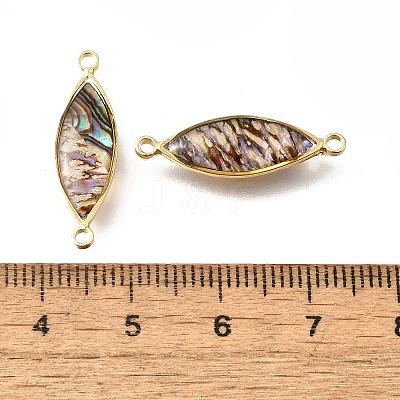 Brass Pave Natural Paua Shell Connector Charms KK-E794-01G-06-1