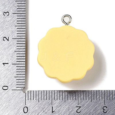 Opaque Resin Pendants RESI-S403-04B-1
