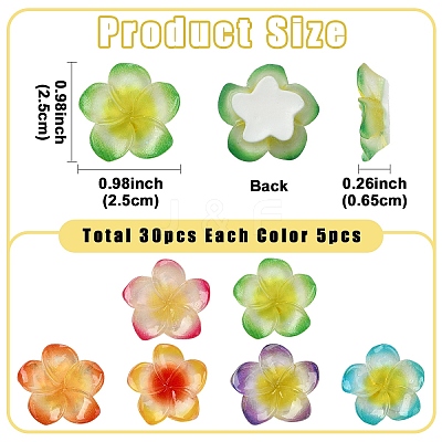 30Pcs 6 Colors Resin Cabochons RESI-YW0005-98-1