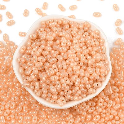 Baking Paint Glass Seed Beads SEED-L011-09A-12-1