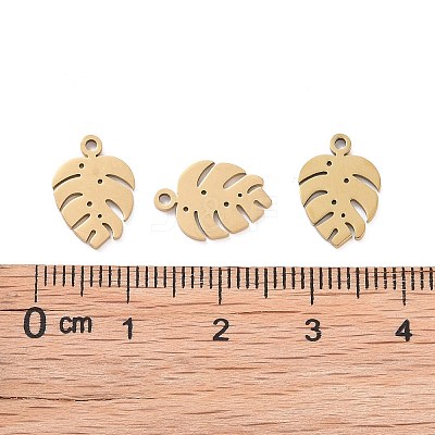 Ion Plating(IP) 304 Stainless Steel Charms STAS-S107-05-1