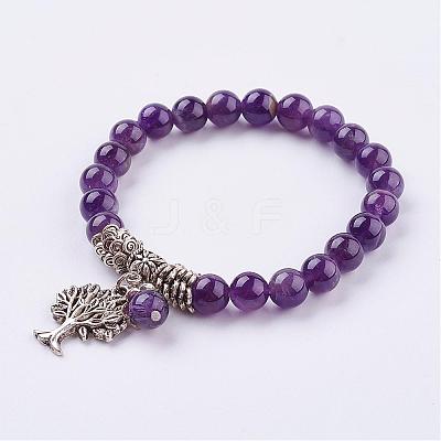 Natural Amethyst Stretch Bracelets BJEW-F262-A03-1