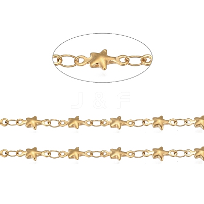 304 Stainless Steel Link Chains STAS-P219-74G-1