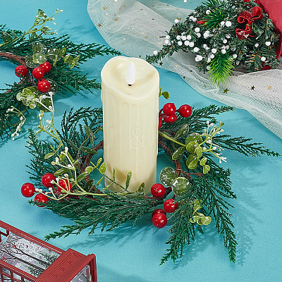 PP Plastic and Foam and Wire Christmas Wreath AJEW-WH20060-21-1