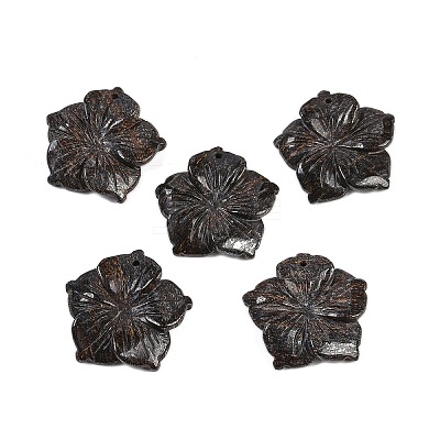 Natural Bronzite Carved Pendants G-B097-01A-12-1