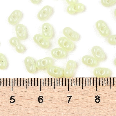 Baking Paint Glass Seed Beads SEED-L011-09A-21-1