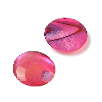 Natural Abalone Shell/Paua Shell Resin Cabochons SSHEL-K003-8MM-01-1