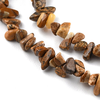 Natural Picture Jasper Beads Strands G-G0003-B16-1