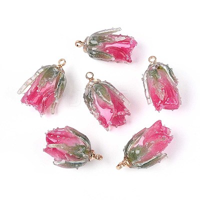 Transparent Acrylic Pendants SACR-T017-53C-1