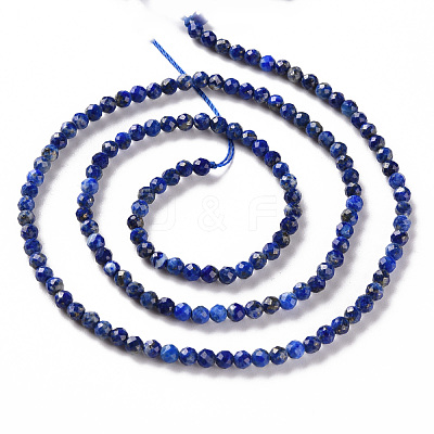 Natural Lapis Lazuli Beads Strands X-G-S362-112B-1