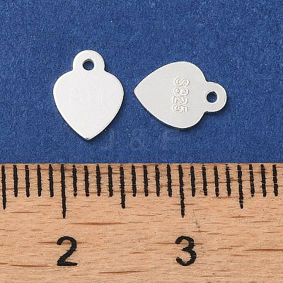 925 Sterling Silver Chain Extender Drop STER-G040-02C-1