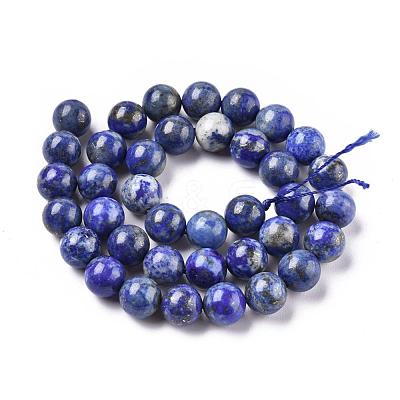 Natural Lapis Lazuli Round Bead Strands X-G-E262-01-10mm-1