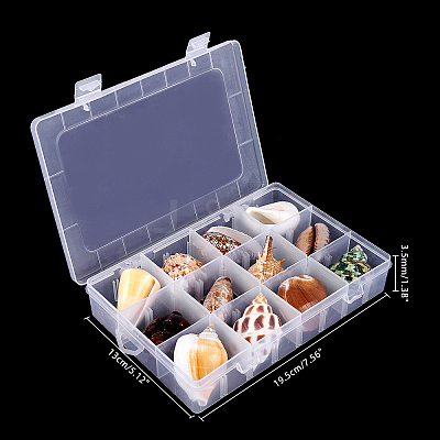 Natural Shell Home Display Decoration Sets SSHEL-T016-13-1
