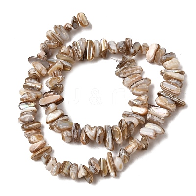Natural Freshwater Shell Beads Strands X-SHEL-A006-05-1