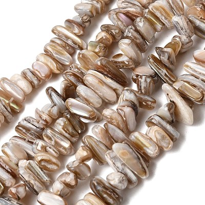 Natural Freshwater Shell Beads Strands SHEL-A006-05-1