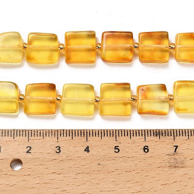 Natural Amber Beads Strands G-C260-A01-01-1