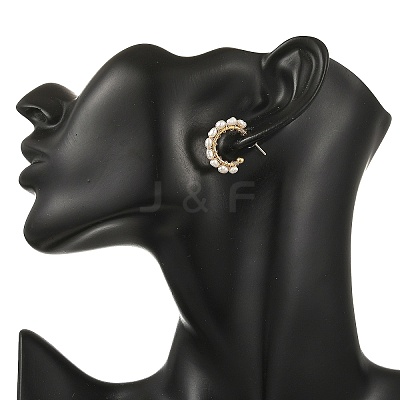 304 Stainless Steel Stud Earrings EJEW-JE07377-1