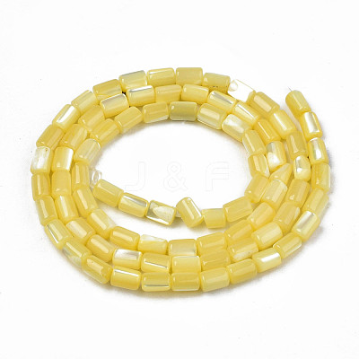 Natural Trochid Shell/Trochus Shell Beads Strands SHEL-N003-26-B10-1