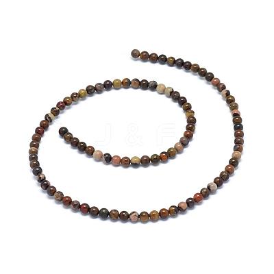 Natural Chinese Writing Stone Round Bead Strands G-P070-12-4mm-1