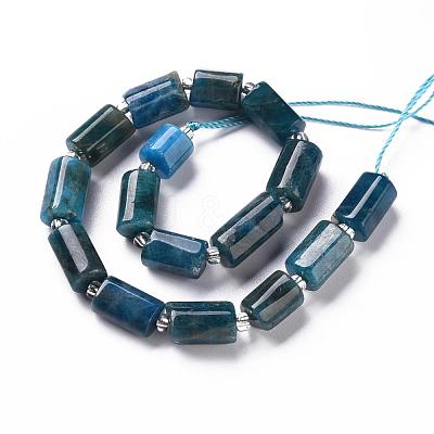 Natural Apatite Beads Strands G-S345-8x11-003-1