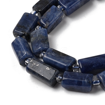 Natural Sodalite Beads Strands GG-CBA56E5-02-1