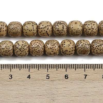 Natural Rudraksha Bodhi Seed Beads Strand WOOD-B010-A03-8x9mm-1