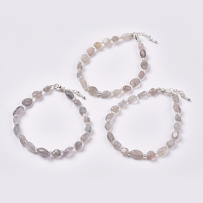 Natural Labradorite Beaded Bracelets BJEW-F405-A06-1