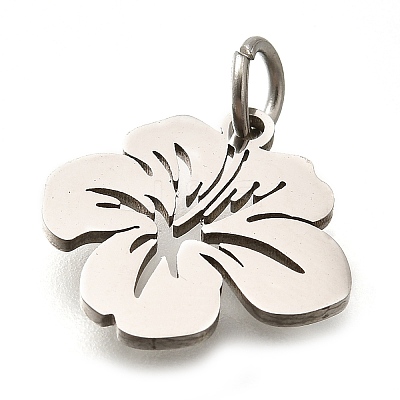 304 Stainless Steel Charms STAS-Z119-26P-1