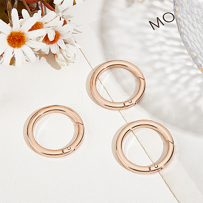 3Pcs Alloy Spring Gate Rings FIND-BBC0002-23KCG-02-1