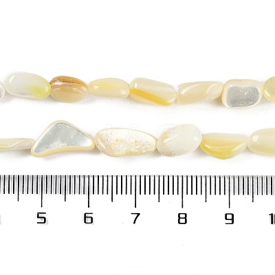 Natural Trochus Shell Beads Strands BSHE-H109-05-1