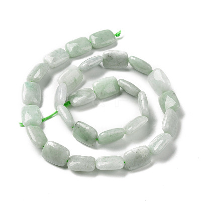 Natural Myanmar Jade/Burmese Jade Beads Strands G-C238-13-1