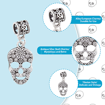50Pcs Tibetan Style Alloy European Dangle Charms FIND-DC0002-79-1
